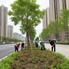 宁国市政绿化工程是什么专业